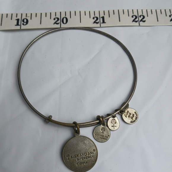 Alex and Ani 2014 'MoM'' Charm Bangle Bracelet/Chrome +Energy - Picture 3 of 3
